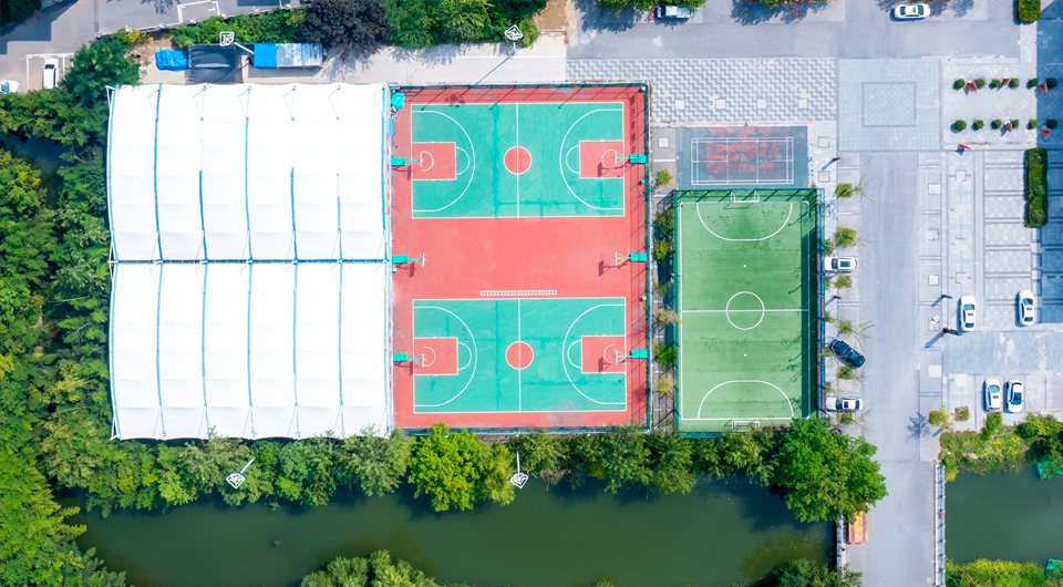 威廉希尔植物蛋白产品