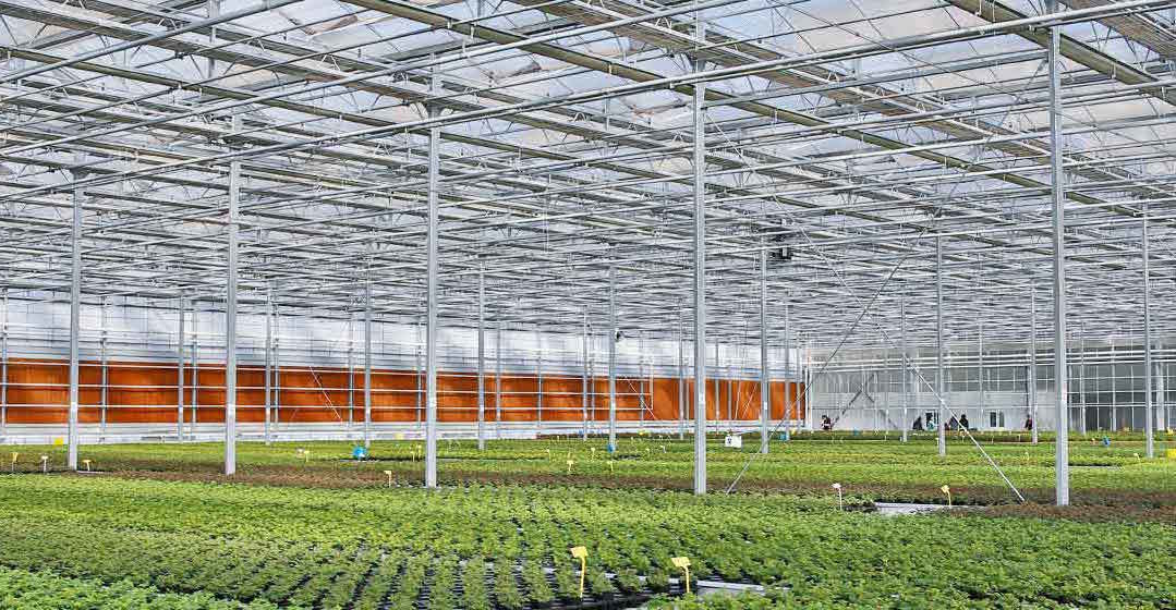 磷矿石供需偏紧或持续 产业链一体化公司业绩可期