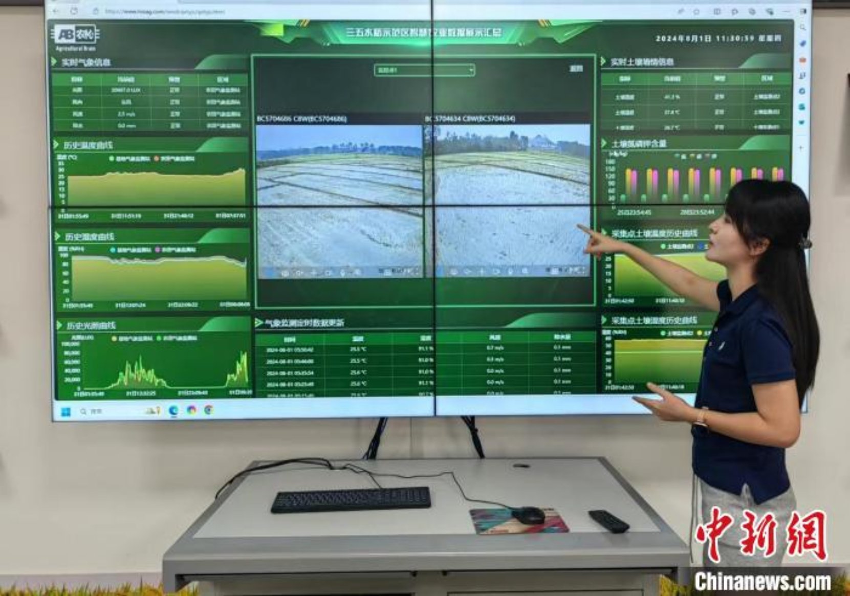 广西来宾种粮大户莫丽荣：农业有奔头 饭碗才端得稳(图3)