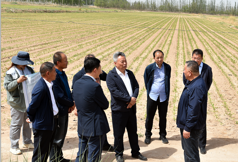 宁夏农垦集团与天津食品集团、长春博瑞科技携手打造现代农业新高地