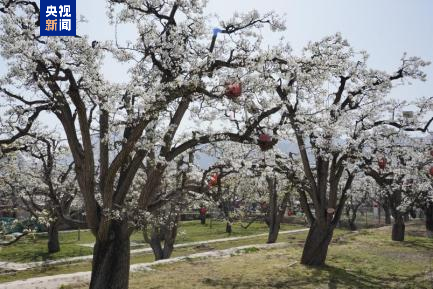 中国新增三项全球重要农业文化遗产