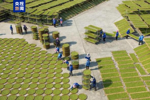 中国新增三项全球重要农业文化遗产(图3)