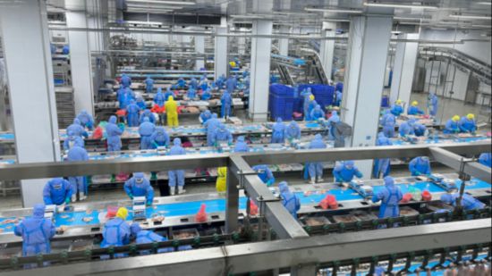 从“出口标准”到全球品牌：春雪食品如何让中国鸡肉端上世界餐桌？