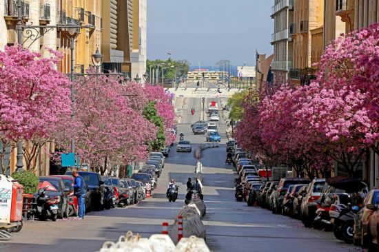 列国鉴·黎巴嫩｜记者观察：黎巴嫩国家重建道阻且长