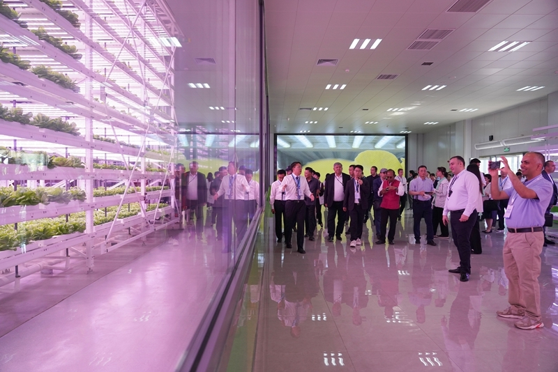 携手建设远离贫困、共同繁荣的美好世界——习近平主席贺信为上合组织国家减贫和可持续发展注入强劲动力(图2)