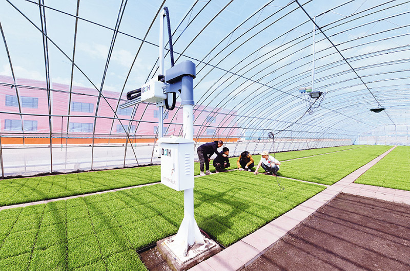 以发展新质生产力塑造全面振兴新优势(图3)