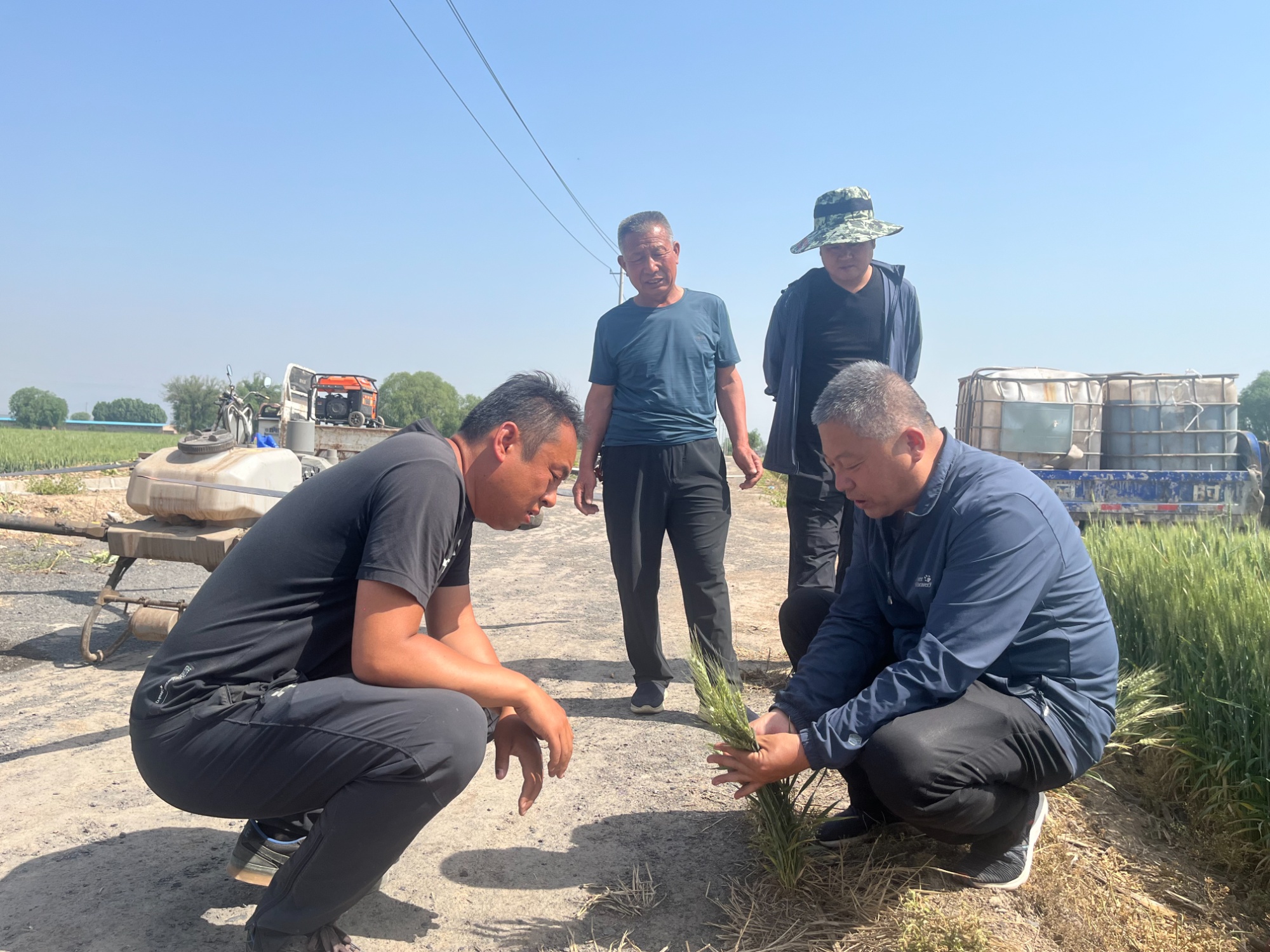 山西交城农业“田间课堂”厚植产业发展