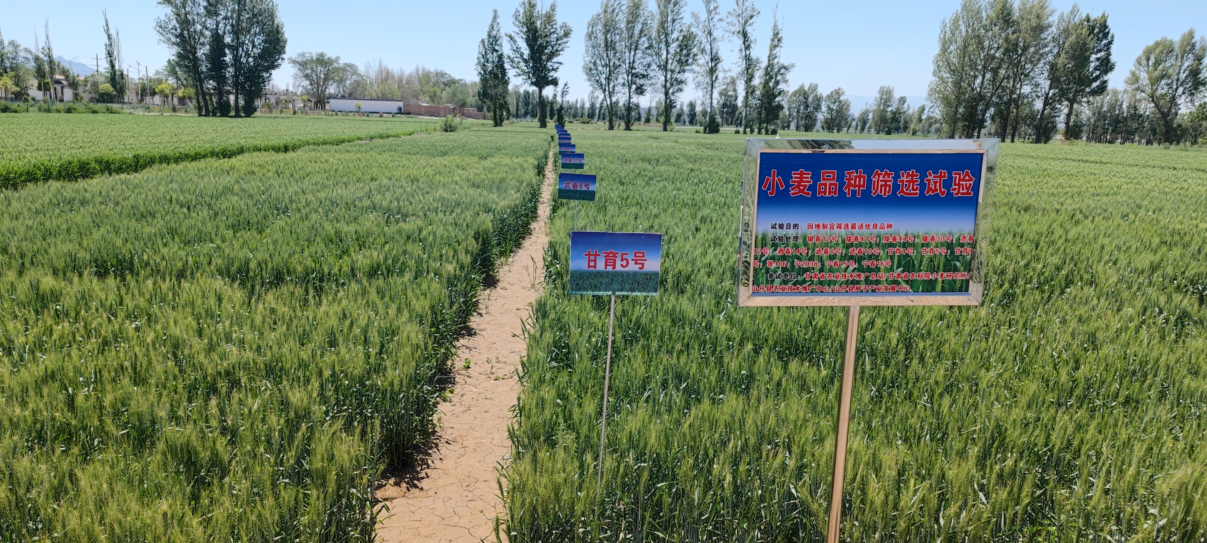 张掖市农业农村局(图2)