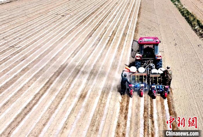 沙漠腹地民勤可“盐”可“甜”