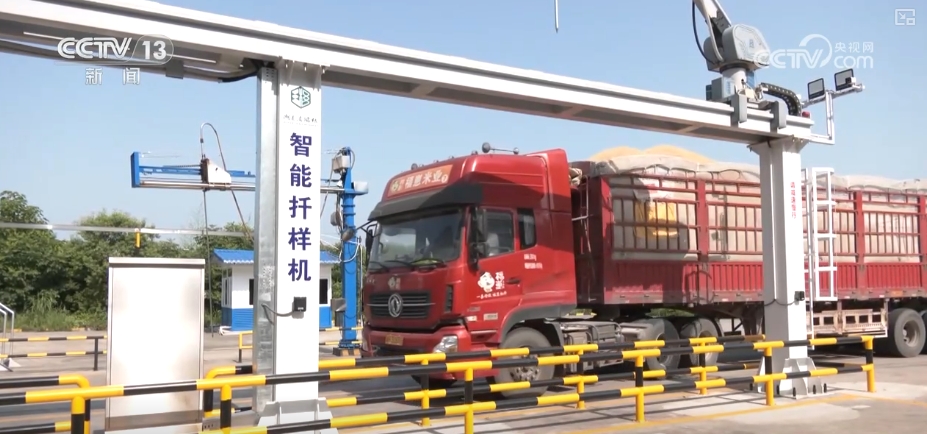 粮食减损过硬“新招”让颗粒归仓有保障 科技赋能夯实粮食安全(图1)