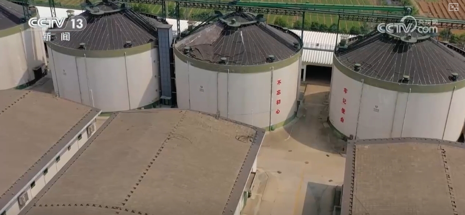 粮食减损过硬“新招”让颗粒归仓有保障 科技赋能夯实粮食安全(图4)