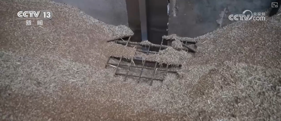 粮食减损过硬“新招”让颗粒归仓有保障 科技赋能夯实粮食安全(图7)