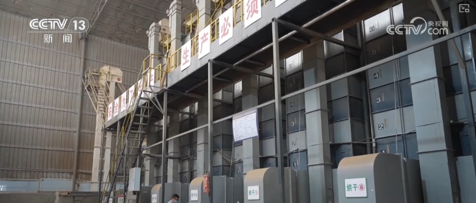 粮食减损过硬“新招”让颗粒归仓有保障 科技赋能夯实粮食安全(图8)