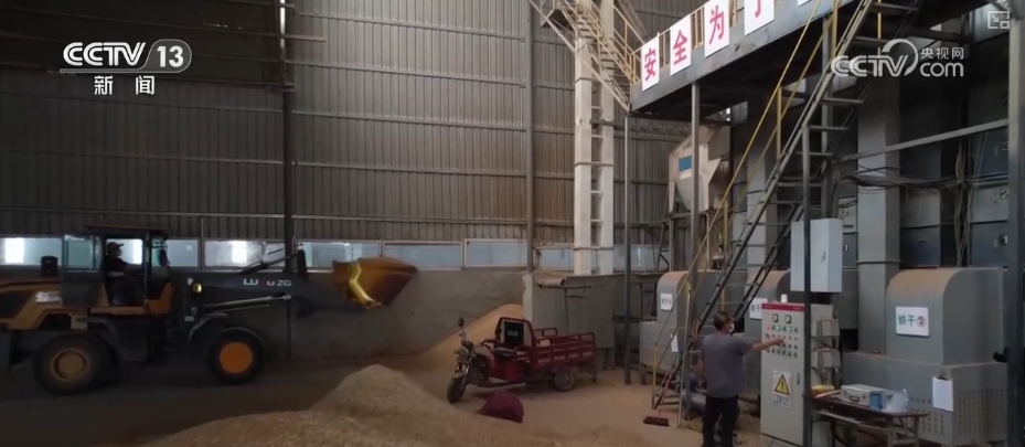 粮食减损过硬“新招”让颗粒归仓有保障 科技赋能夯实粮食安全(图9)