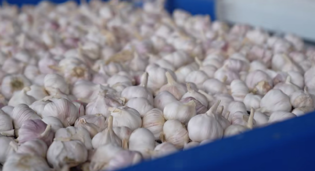 数智赋能：中农七朵如何领航农业数智化变革？(图2)