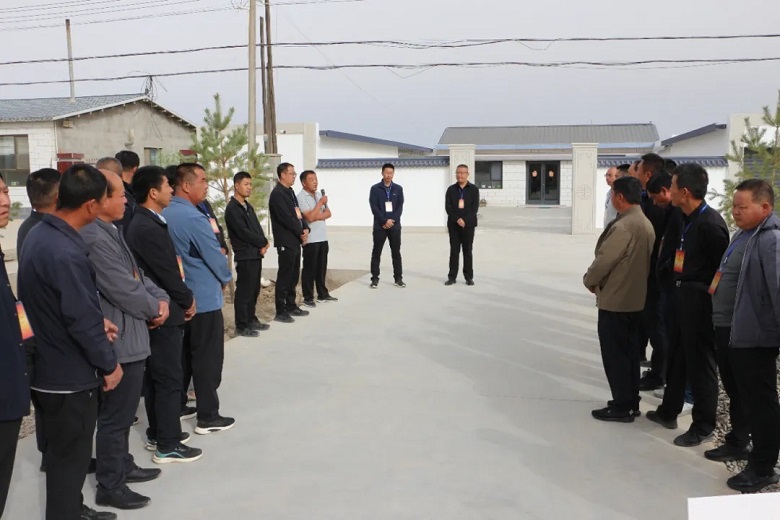 【深化“三抓三促”行动】新坝镇：聚焦农业农村话发展共谋乡村振兴新路径(图2)