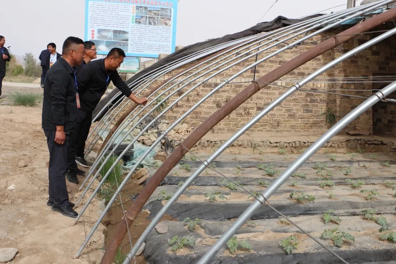 【深化“三抓三促”行动】新坝镇：聚焦农业农村话发展共谋乡村振兴新路径(图7)