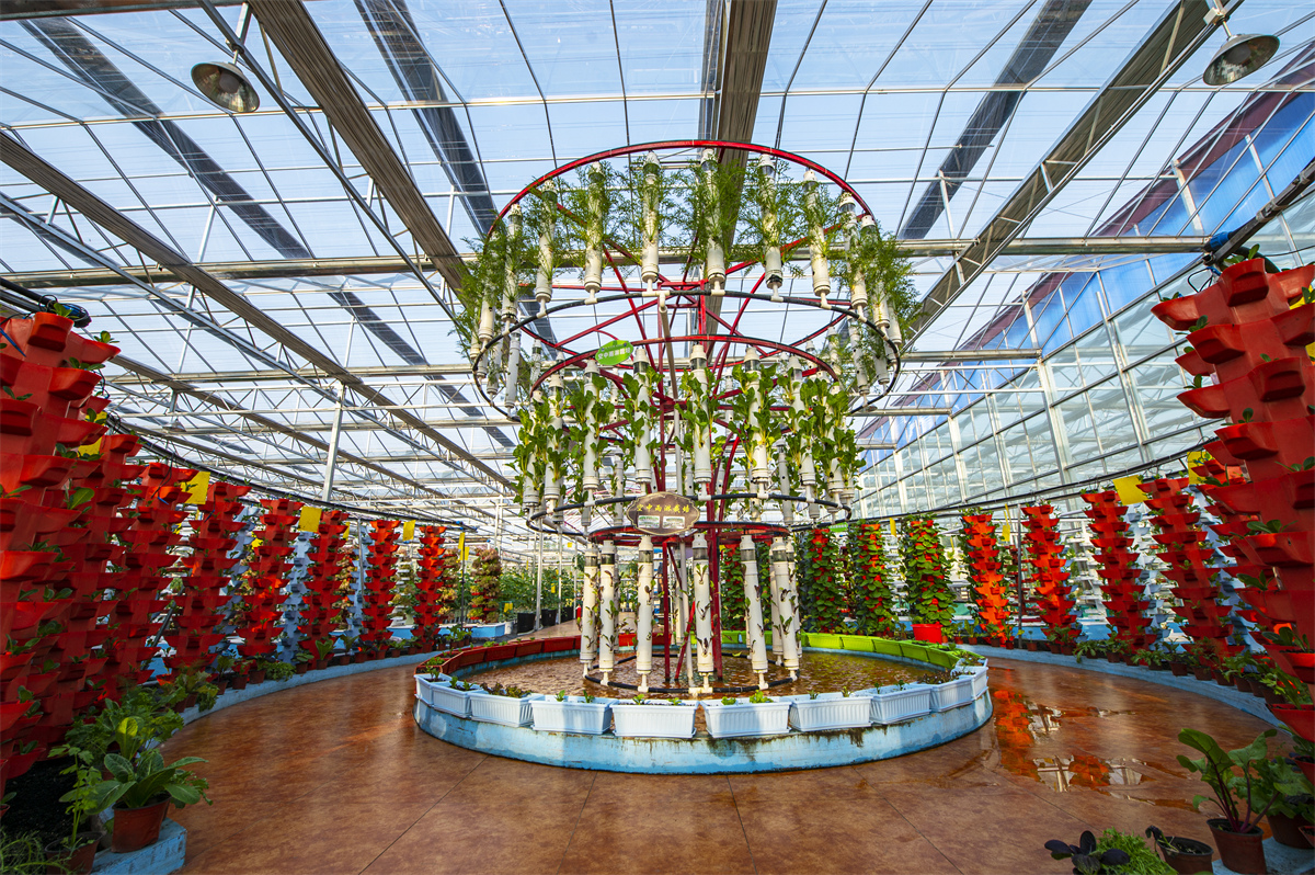 无废齐鲁 绿动未来 “无废农业”让“废弃物”变身“资源库”