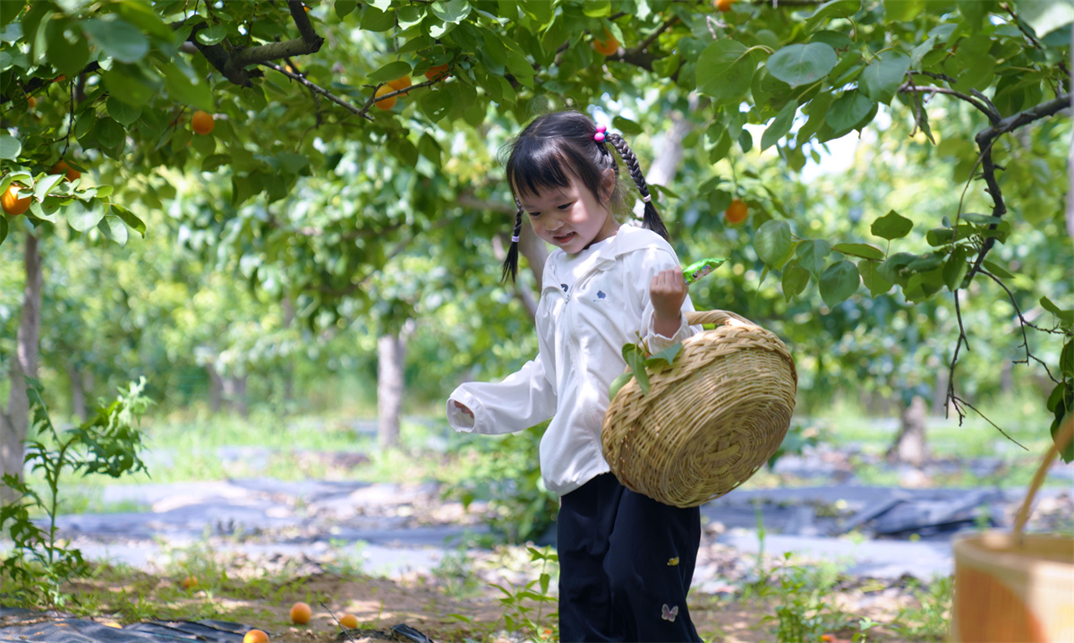 无废齐鲁 绿动未来 “无废农业”让“废弃物”变身“资源库”(图4)