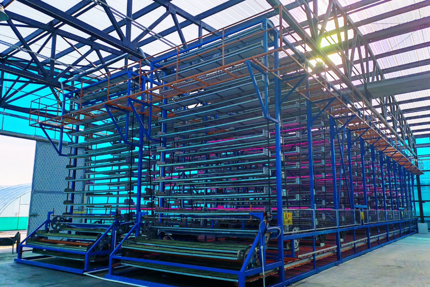 高质量发展看中国在北大荒看见未来农业的真模样(图1)