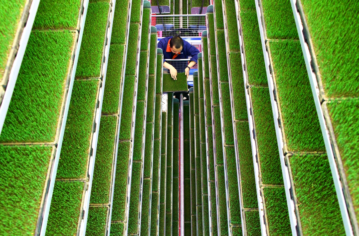 高质量发展看中国在北大荒看见未来农业的真模样(图2)