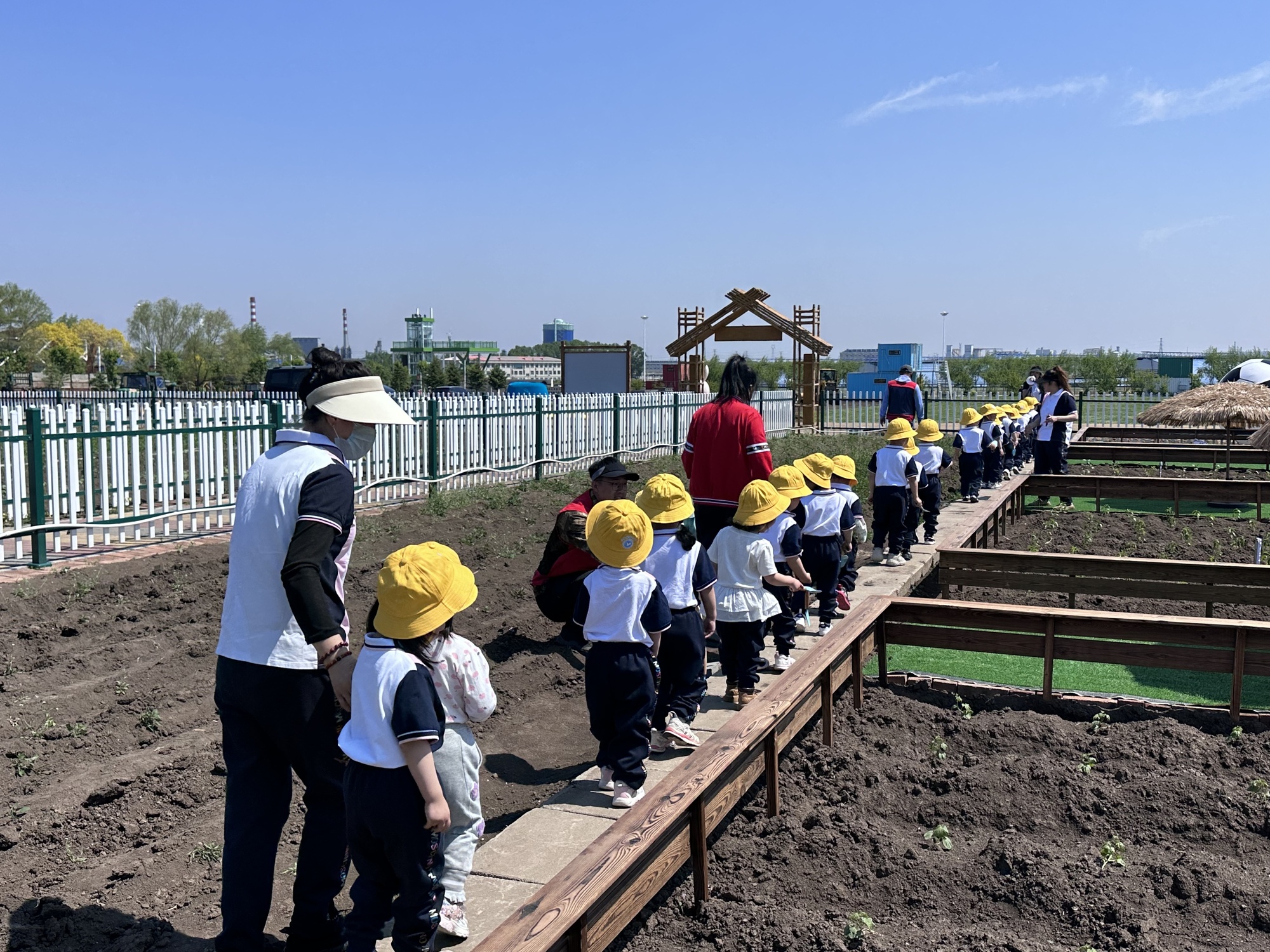 高质量发展看中国在北大荒看见未来农业的真模样(图6)