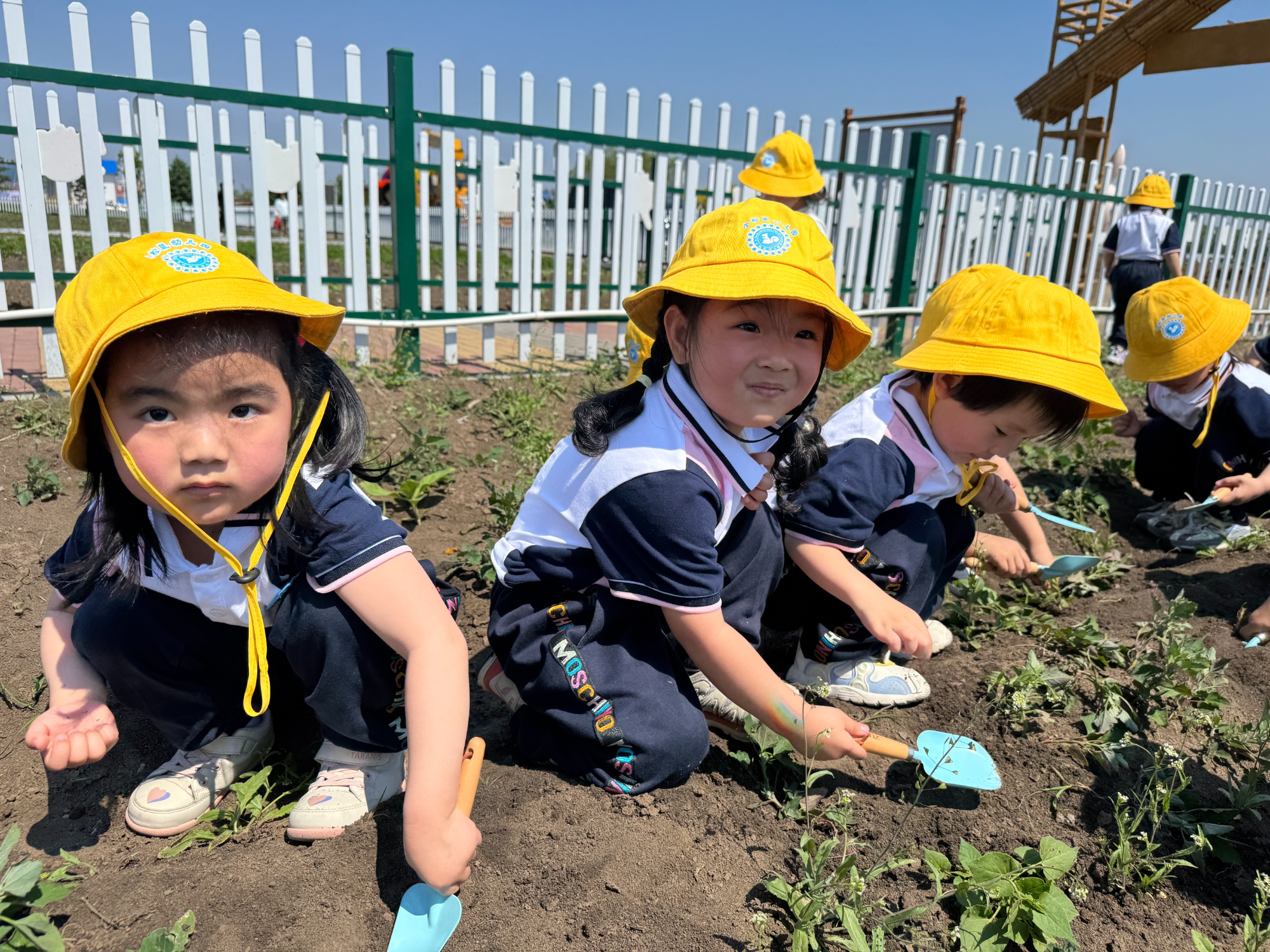 高质量发展看中国在北大荒看见未来农业的真模样(图7)