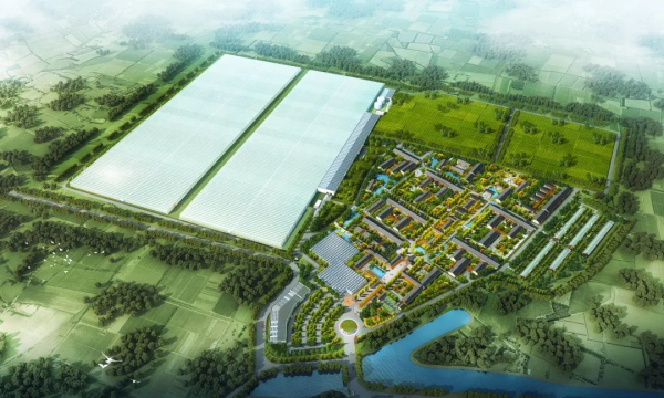 全链赋能 科技驱动 首农食品集团全力拎稳首都“菜篮子”(图2)