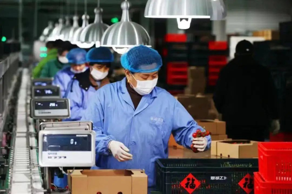 全链赋能 科技驱动 首农食品集团全力拎稳首都“菜篮子”(图3)