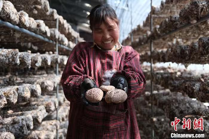 碳路中国｜中国乡村探索低碳发展路径 构建可持续未来