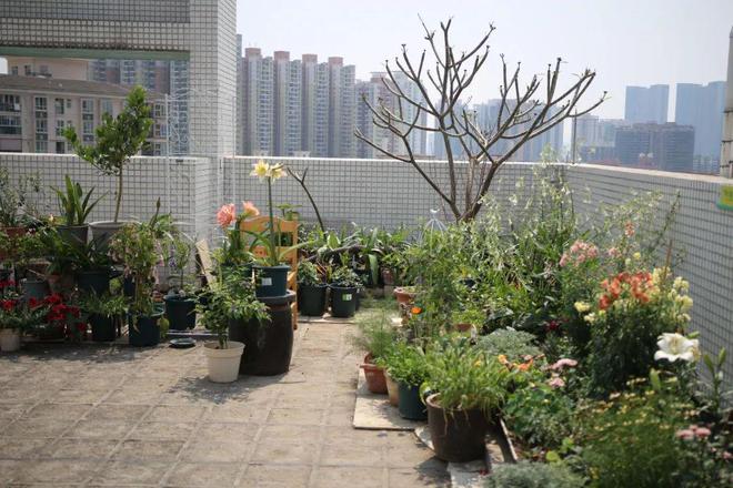 可持续食农领域如何帮助农户应对气候变化？(图3)