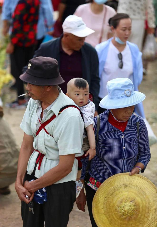 可持续食农领域如何帮助农户应对气候变化？(图2)