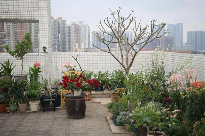 可持续食农领域如何帮助农户应对气候变化？(图4)