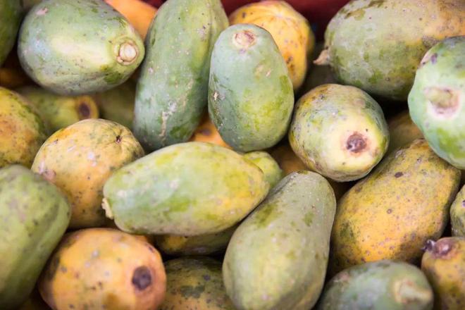 可持续食农领域如何帮助农户应对气候变化？(图5)