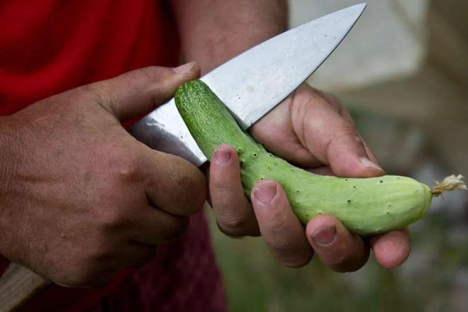 可持续食农领域如何帮助农户应对气候变化？(图6)