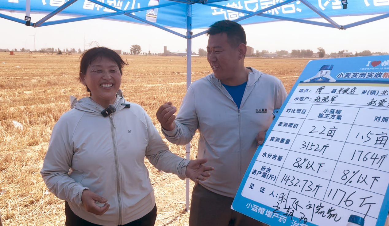 科技赋能农业丰收梦 “小蓝帽”增产药助力粮仓满