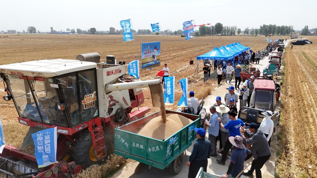 科技赋能农业丰收梦 “小蓝帽”增产药助力粮仓满(图2)