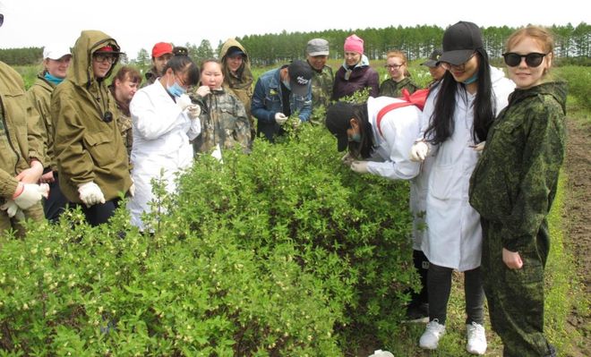 中俄跨境合作黑龙江黑河如何成为育种“国际枢纽”？ 2025年生物多样性保护和可持续利用实践成果⑩(图2)