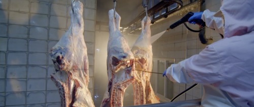 全产业链深耕+科技品质双驱动重庆恒都食品铸就行业标杆典范(图3)