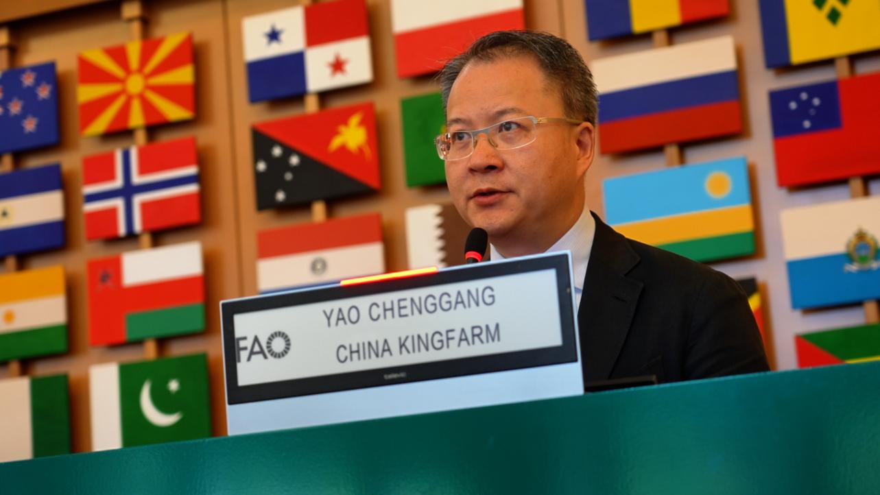 金丰公社亮相联合国粮农组织全球合作伙伴（GSP）大会