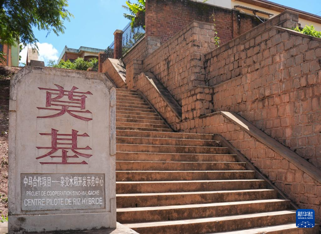 中非共谱非洲农业现代化新篇章(图3)