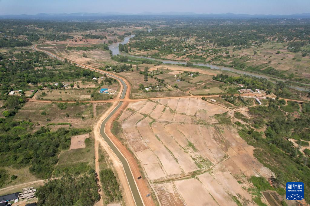 中非共谱非洲农业现代化新篇章(图5)