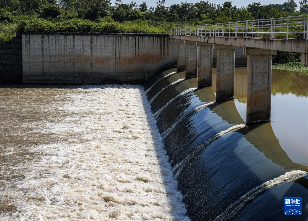 中非共谱非洲农业现代化新篇章(图6)