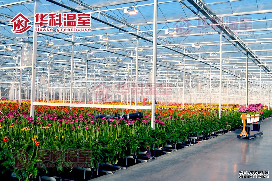 用于作物种植的可持续农业是什么？