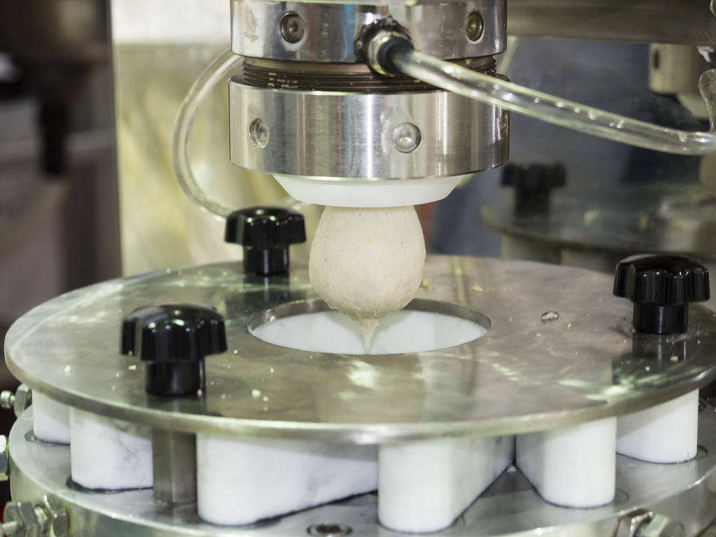 首个中马“一带一路”联合实验室启动建设