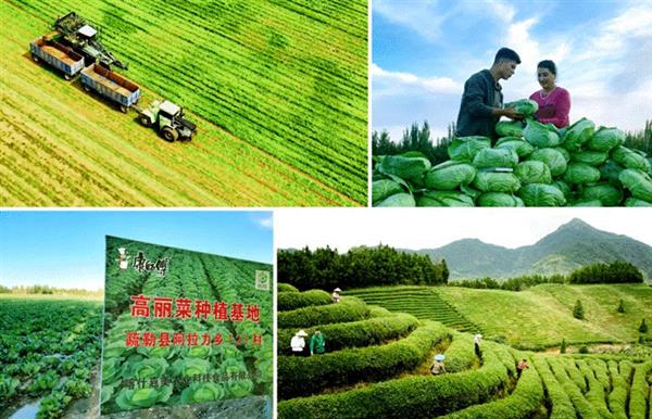 价值深耕 康师傅的创新战役(图4)