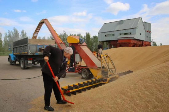 东西问丨奥登·沙亚赫梅达娃：哈中农业合作为何“全面开花”？(图2)