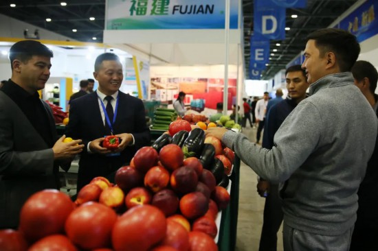 东西问丨奥登·沙亚赫梅达娃：哈中农业合作为何“全面开花”？