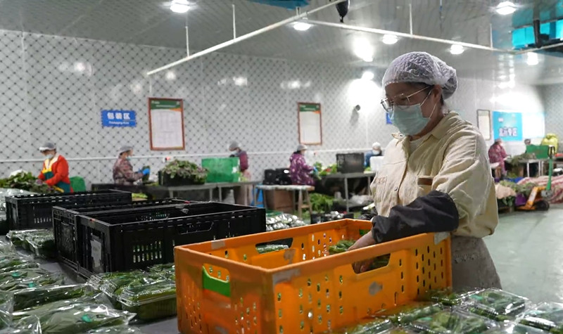 湖北移动打造食品安全AI监管新范式 守护市民“菜篮子”