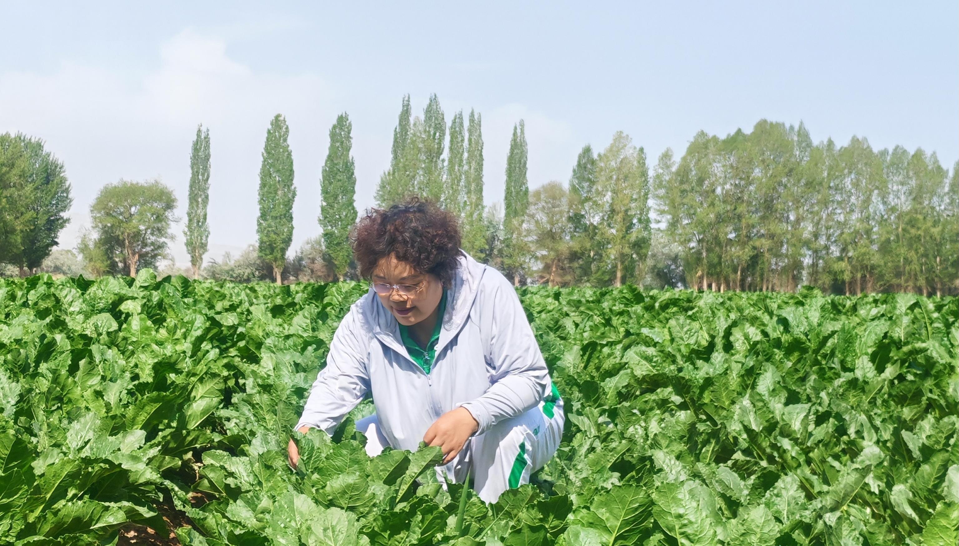 甘州区新墩镇：全力抗旱保灌 筑牢农业生产“生命线”